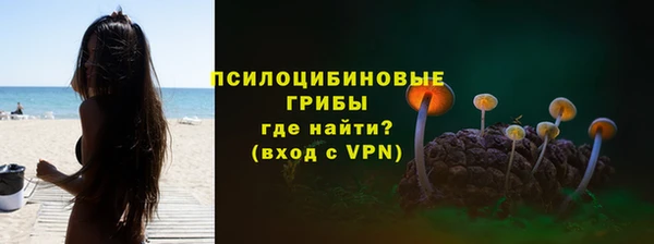 a pvp Заводоуковск